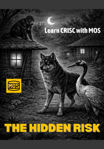 The Hidden Risk - CRISC